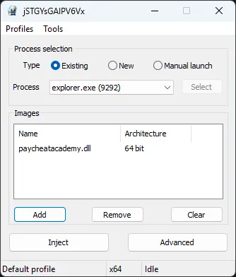 Xenos Injector manual mapping interface